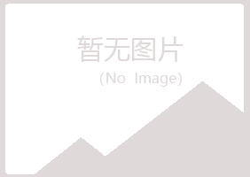 大宁县埋没音乐有限公司